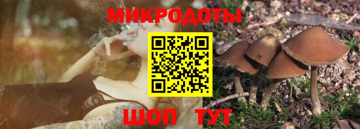 Павлово  Галлюциногенные грибы GOLDEN TEACHER  Галлюциногенные грибы мухоморы  Вход с VPN 